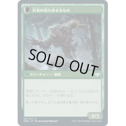 画像2: 【JPN】樫影の忍び寄るもの/月光の待ち伏せるもの/Oakshade Stalker/Moonlit Ambusher[MTG_VOW_212U]