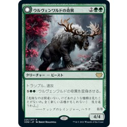 画像1: 【JPN】ウルヴェンワルドの奇異/ウルヴェンワルドのビヒモス/Ulvenwald Oddity/Ulvenwald Behemoth[MTG_VOW_225R]