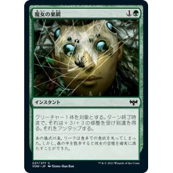 画像1: 【JPN】魔女の巣網/Witch's Web[MTG_VOW_227C]