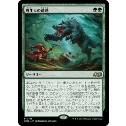画像1: 【JPN】野生との遭遇/Feral Encounter[MTG_WOE_0169_R]