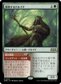 【JPN】探索するドルイド/Questing Druid[MTG_WOE_0234_R]