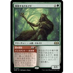 画像1: 【JPN】探索するドルイド/Questing Druid[MTG_WOE_0234_R]