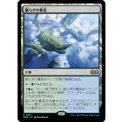 画像1: 【JPN】眠らずの蔓茎/Restless Vinestalk[MTG_WOE_0261_R]