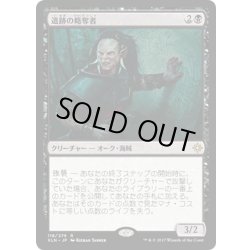 画像1: 【JPN】遺跡の略奪者/Ruin Raider[XLN_118R]