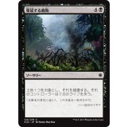 画像1: 【JPN】蔓延する腐敗/Spreading Rot[XLN_125C]
