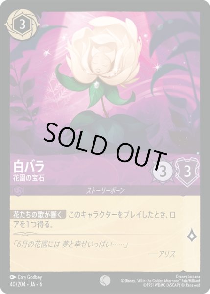 画像1: ★Foil★白バラ- 花園の宝石[DL_6_40/204_C] (1)