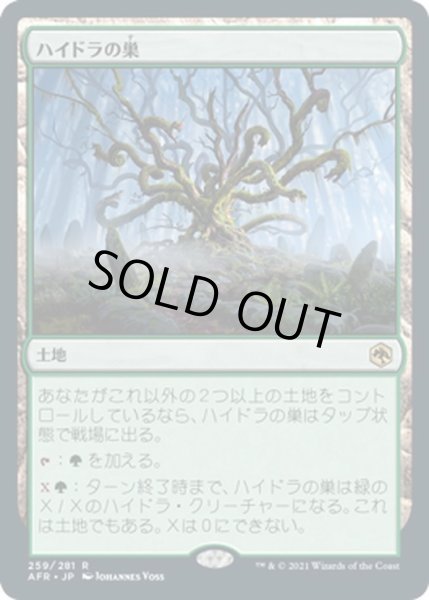 画像1: 【JPN】ハイドラの巣/Lair of the Hydra[MTG_AFR_259R] (1)