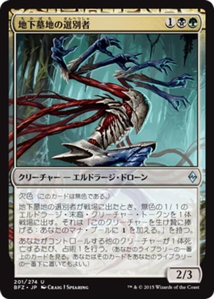 画像1: 【JPN】地下墓地の選別者/Catacomb Sifter[MTG_BFZ_201U] (1)