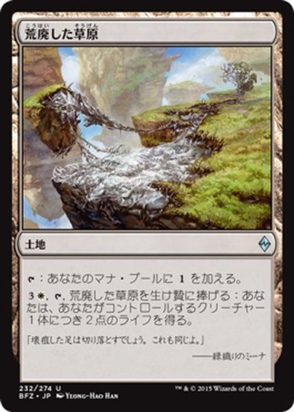 画像1: 【JPN】荒廃した草原/Blighted Steppe[MTG_BFZ_232U] (1)