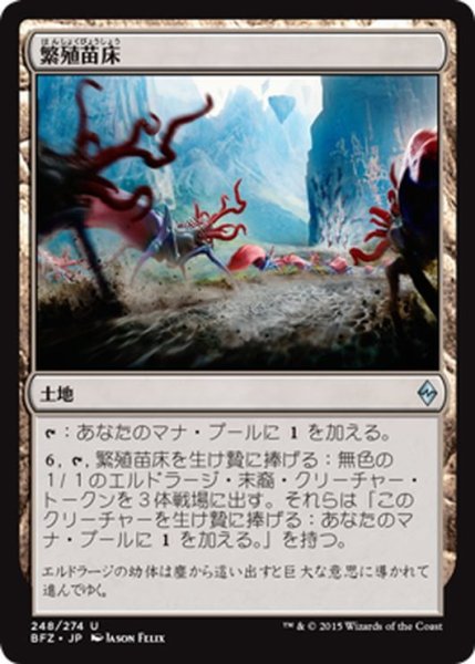 画像1: 【JPN】繁殖苗床/Spawning Bed[MTG_BFZ_248U] (1)