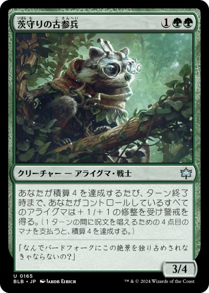 画像1: 【JPN】茨守りの古参兵/Brambleguard Veteran [MTG_BLB_0165_U] (1)