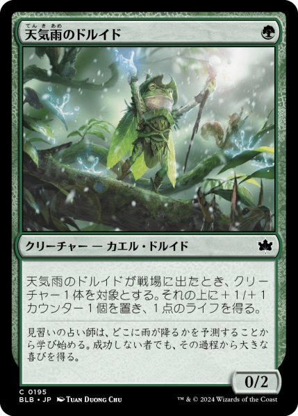 画像1: 【JPN】天気雨のドルイド/Sunshower Druid [MTG_BLB_0195_C] (1)