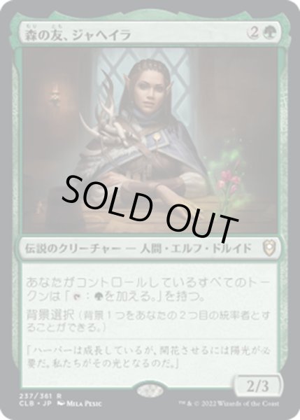 画像1: 【JPN】森の友、ジャヘイラ/Jaheira, Friend of the Forest[MTG_CLB_237R] (1)