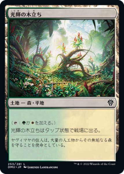 画像1: 【JPN】光輝の木立ち/Radiant Grove[MTG_DMU_253C] (1)
