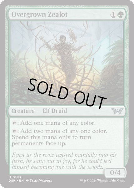 画像1: 【ENG】★Foil★草むした盲信者/Overgrown Zealot [MTG_DSK_0193_U] (1)