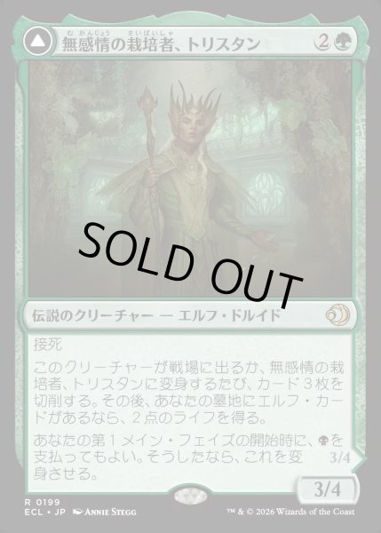 画像1: 【JPN】★Foil★無感情の栽培者、トリスタン/改悛の淘汰者、トリスタン/Trystan, Callous Cultivator/Trystan, Penitent Culler[MTG_ECL_0199_R] (1)