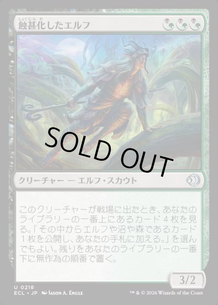 画像1: 【JPN】★Foil★蝕甚化したエルフ/Eclipsed Elf [MTG_ECL_0218_U] (1)