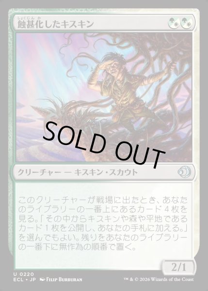 画像1: 【JPN】★Foil★蝕甚化したキスキン/Eclipsed Kithkin [MTG_ECL_0220_U] (1)