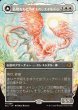 画像1: 【JPN】★Foil★払暁をもたらすもの、エイルドゥ/黄昏をもたらすもの、イシル―/Eirdu, Carrier of Dawn/Isilu, Carrier of Twilight[MTG_ECL_0286_M] (1)