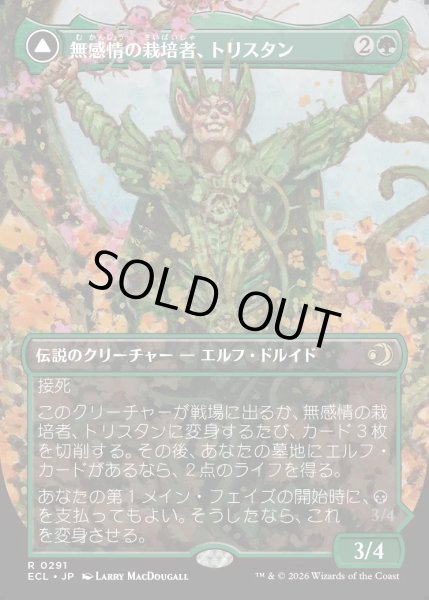 画像1: 【JPN】★Foil★無感情の栽培者、トリスタン/改悛の淘汰者、トリスタン/Trystan, Callous Cultivator/Trystan, Penitent Culler[MTG_ECL_0291_R] (1)