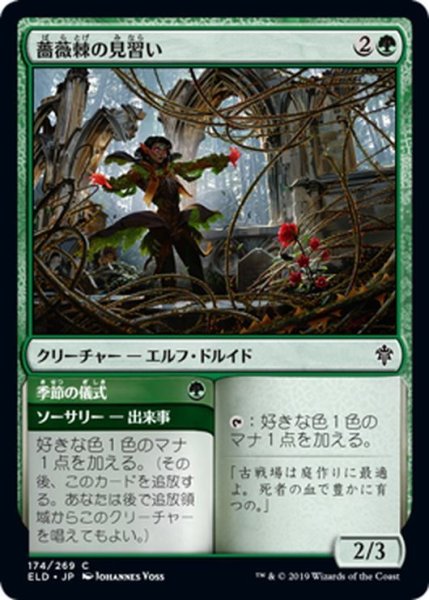 画像1: 【JPN】薔薇棘の見習い/Rosethorn Acolyte[MTG_ELD_174C] (1)