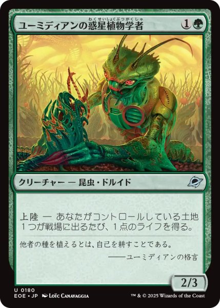 画像1: 【JPN】ユーミディアンの惑星植物学者/Eumidian Terrabotanist[MTG_EOE_0180_U] (1)