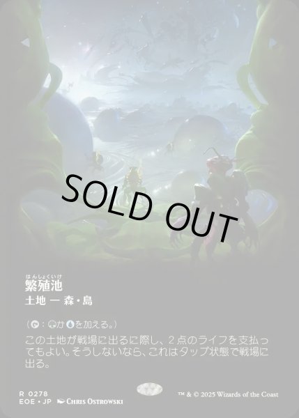 画像1: 【JPN】■ボーダーレス■繁殖池/Breeding Pool[MTG_EOE_0278_R] (1)