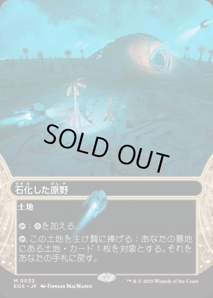画像1: 【JPN】石化した原野/Petrified Field[MTG_EOS_0032_M] (1)