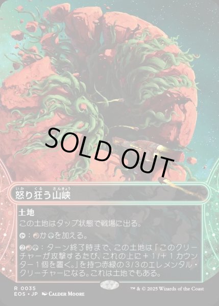画像1: 【JPN】怒り狂う山峡/Raging Ravine[MTG_EOS_0035_R] (1)