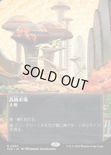 画像1: 【JPN】高級市場/High Market[MTG_EOS_0063_R] (1)