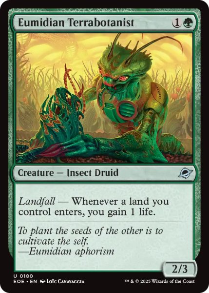 画像1: 【ENG】ユーミディアンの惑星植物学者/Eumidian Terrabotanist[MTG_EOE_0180_U] (1)
