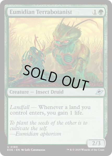 画像1: 【ENG】★Foil★ユーミディアンの惑星植物学者/Eumidian Terrabotanist[MTG_EOE_0180_U] (1)