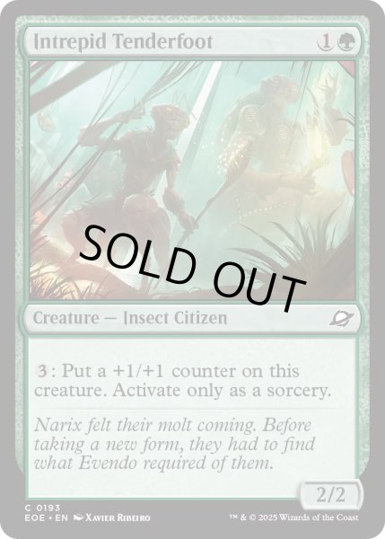 画像1: 【ENG】★Foil★恐れ知らずの新参虫/Intrepid Tenderfoot[MTG_EOE_0193_C] (1)