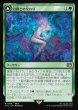 画像1: 【JPN】幻獣との交わり/召喚：幻獣マディン/Esper Origins/Summon: Esper Maduin[MTG_FIN_0185_R] (1)