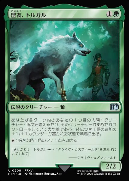 画像1: 【JPN】盟友、トルガル/Torgal, A Fine Hound[MTG_FIN_0208_U] (1)
