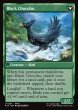 画像2: 【ENG】サブクエスト：チョコボ育成/黒チョコボ/Sidequest: Raise a Chocobo/Black Chocobo[MTG_FIN_0201_U] (2)