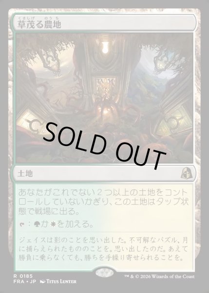 画像1: 【JPN】草茂る農地/Overgrown Farmland[MTG_FRA_0185_R] (1)