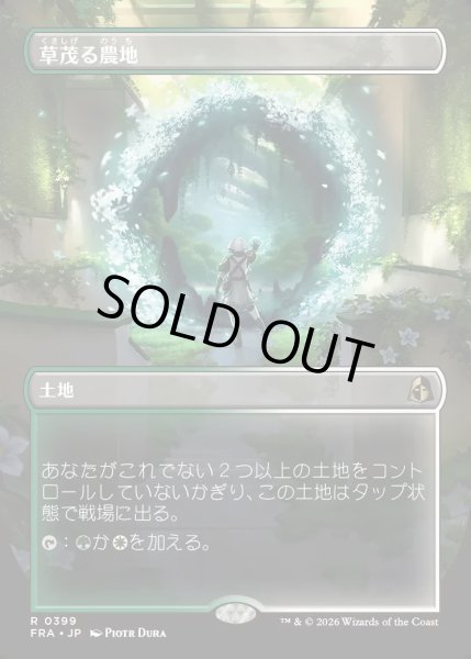 画像1: 【JPN】★Portal View Land★草茂る農地/Overgrown Farmland[MTG_FRA_0399_R] (1)