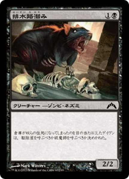 画像1: 【JPN】排水路潜み/Gutter Skulk[MTG_GTC_067C] (1)