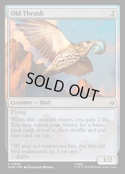 画像1: 【ENG】大きなツグミ/Old Thrush[MTG_HOB_0002_C] (1)
