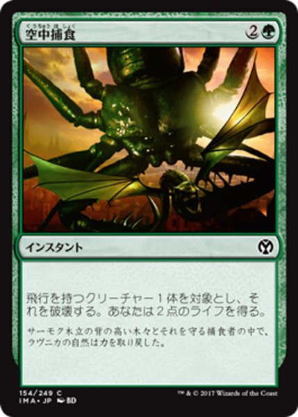 画像1: 【JPN】空中捕食/Aerial Predation[MTG_IMA_154C] (1)