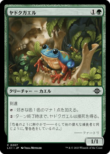 画像1: 【JPN】ヤドクガエル/Poison Dart Frog[MTG_LCI_207C] (1)