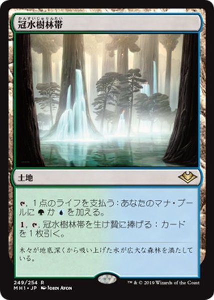 画像1: 【JPN】冠水樹林帯/Waterlogged Grove[MTG_MH1_249R] (1)