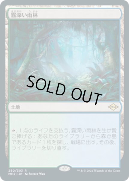 画像1: 【JPN】霧深い雨林/Misty Rainforest[MTG_MH2_250R] (1)