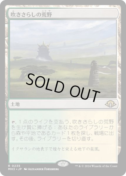 画像1: 【JPN】吹きさらしの荒野/Windswept Heath[MTG_MH3_0235_R] (1)