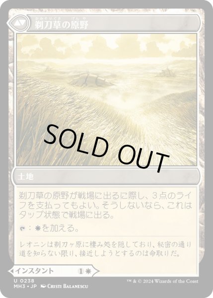 画像2: 【JPN】剃刀草の待ち伏せ//剃刀草の原野/Razorgrass Ambush//Razorgrass Field[MTG_MH3_0238_U] (2)
