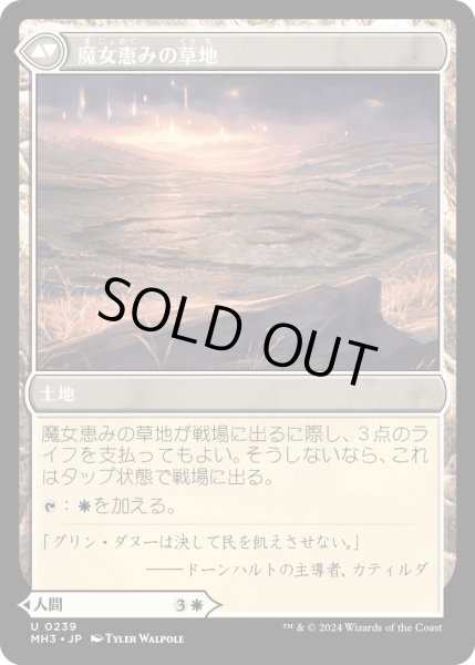 画像2: 【JPN】魔女の結界師//魔女恵みの草地/Witch Enchanter//Witch-Blessed Meadow[MTG_MH3_0239_U] (2)