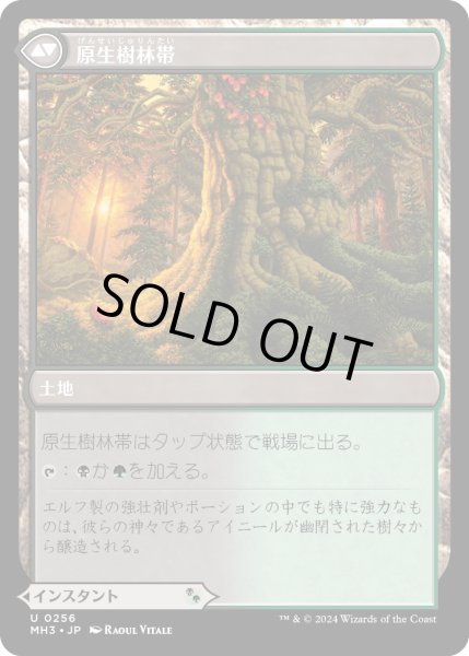 画像2: 【JPN】力漲る腹拵え//原生樹林帯/Revitalizing Repast//Old-Growth Grove[MTG_MH3_0256_U] (2)