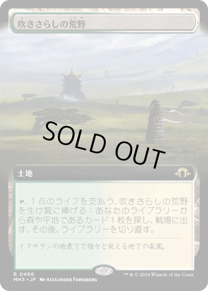 画像1: 【JPN】吹きさらしの荒野/Windswept Heath[MTG_MH3_0466_R] (1)