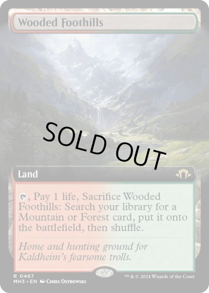 画像1: 【ENG】樹木茂る山麓/Wooded Foothills[MTG_MH3_0467_R] (1)
